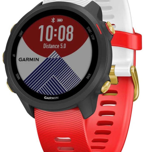 GARMIN 245 music(Japan Limited Edition) | diamundialfuturos