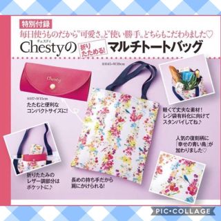 チェスティ(Chesty)の美人百花11月号付録　Chesty　折りたためる！マルチトートバッグ(エコバッグ)