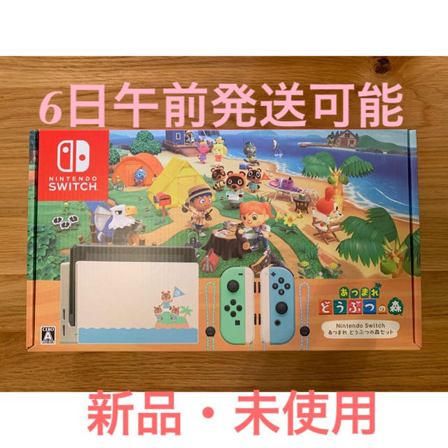 Nintendo Switch あつまれ どうぶつの森セット