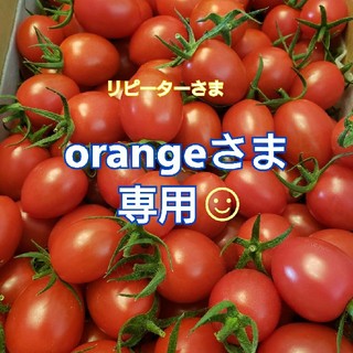 ２㎏ orangeさま専用です☺️ ミニトマト(野菜)
