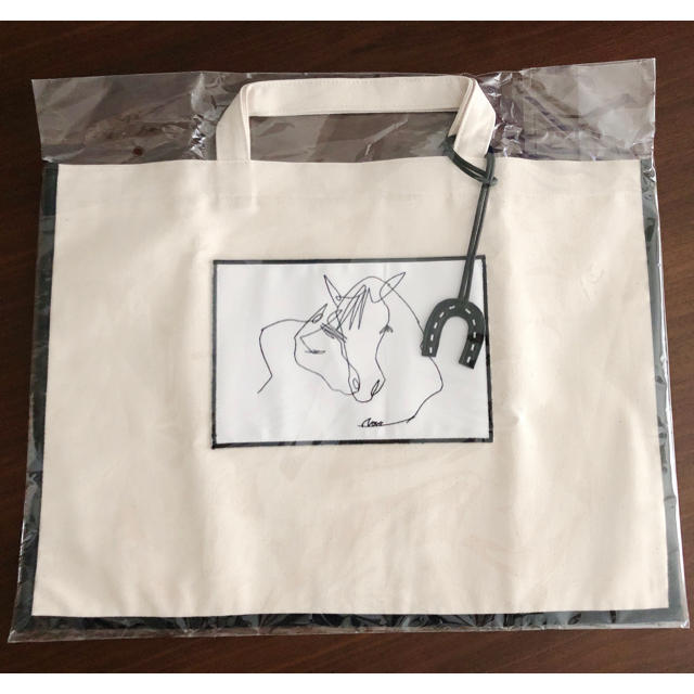 新品未使用タグ付gypsohila  bag レッスン　バッグayako