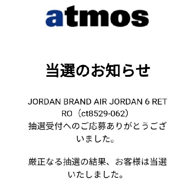 NIKE(ナイキ)のAIR JORDAN 6 “Hare”  29cm/us11 メンズの靴/シューズ(スニーカー)の商品写真