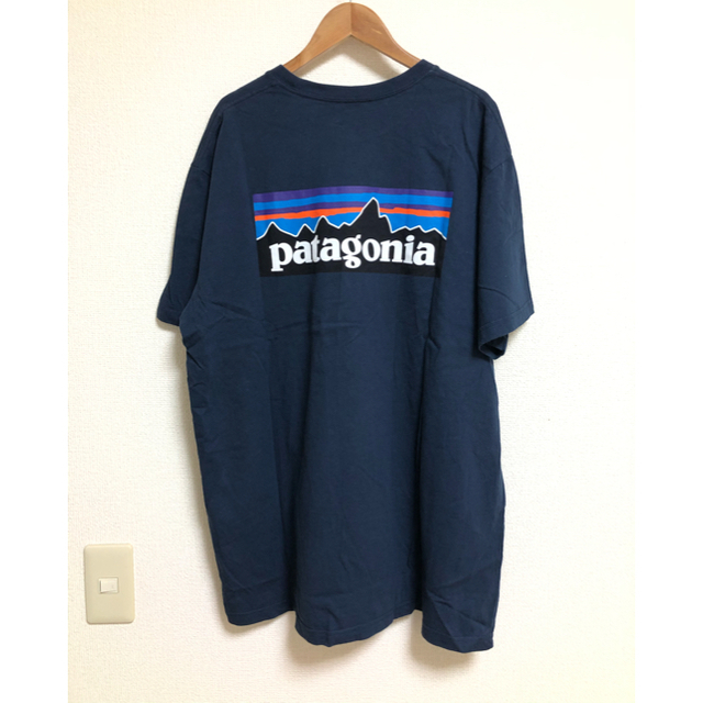 DANTON(ダントン)のみか様専用　ダントン  パタゴニアカットソー　Tシャツ レディースのトップス(Tシャツ(半袖/袖なし))の商品写真