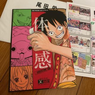 シュウエイシャ(集英社)のワンピース展　公式パンフレット(少年漫画)