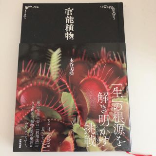 官能植物(科学/技術)