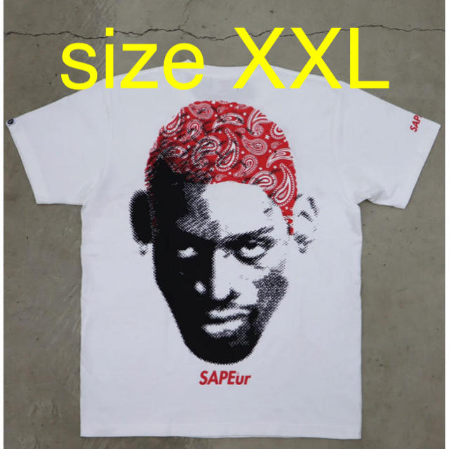 SAPEur Tシャツ XXL ペイズリー - Tシャツ/カットソー(半袖/袖なし)