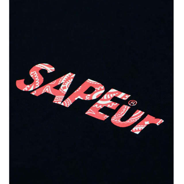 SAPEur Tシャツ　XXL ペイズリートップス