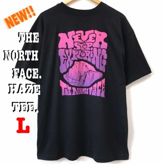 ザノースフェイス(THE NORTH FACE)のビッグシルエット US最新 ♪ ノースフェイス HAZE Tシャツ 黒 L相当 (Tシャツ/カットソー(半袖/袖なし))