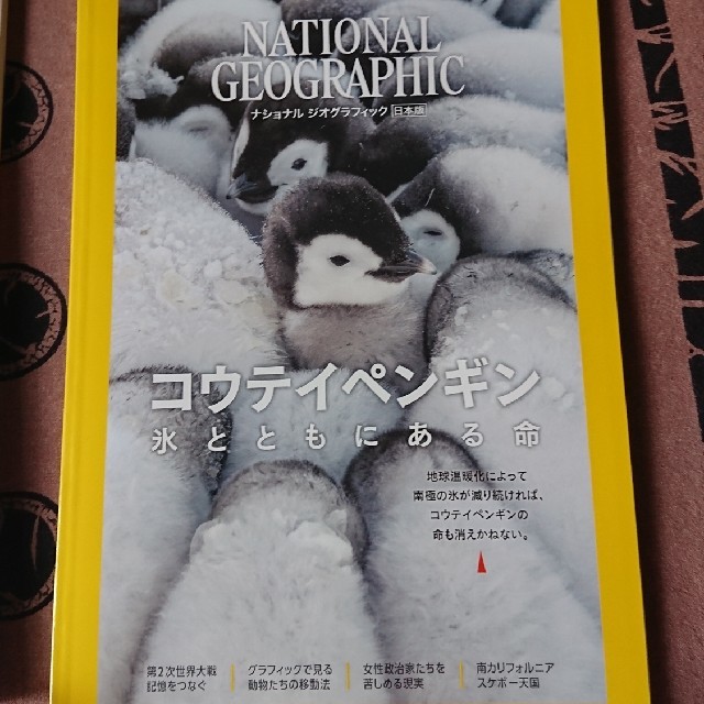 NATIONAL GEOGRAPHIC 日本版 2020年6月号 エンタメ/ホビーの雑誌(その他)の商品写真