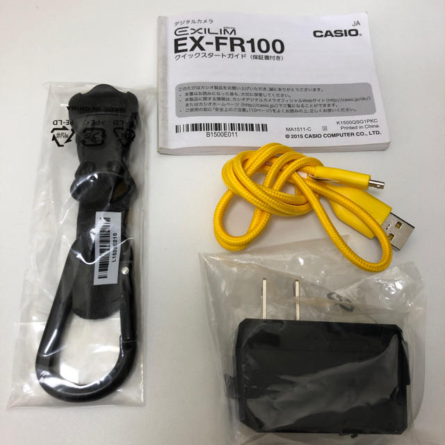 CASIO EX-FR-100