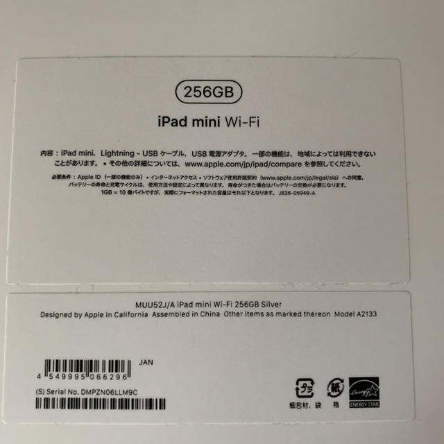 専用　APPLE iPad mini  WI-FI 256GB