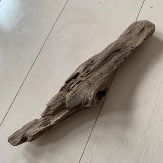 流木(置物)