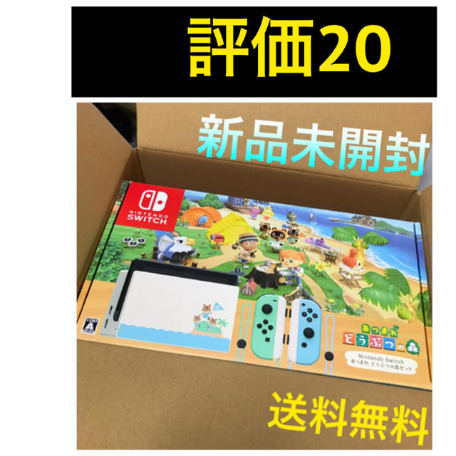 Switchどうぶつの森セット　スイッチ　ドウブツノ森セット　本体セット