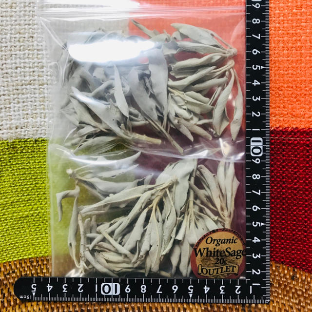 ✳︎アウトレット仕様✳︎ 茎付 20g カルフォルニア産 無農薬 ホワイトセージ コスメ/美容のリラクゼーション(お香/香炉)の商品写真