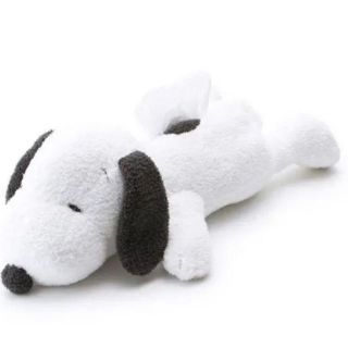 スヌーピー(SNOOPY)のSLEEP ティッシュケース スヌーピー SNOOPY ジェラート・ピケ(ティッシュボックス)