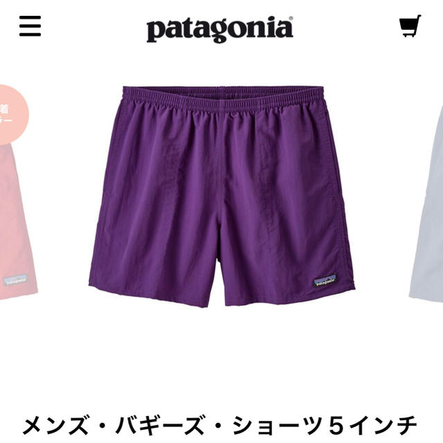 patagonia(パタゴニア)のPatagonia パタゴニア バギーズショーツ 最終値下げ メンズのパンツ(ショートパンツ)の商品写真