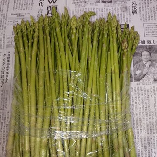 限定増量！佐賀県産グリーンアスパラ1.5キロ(野菜)