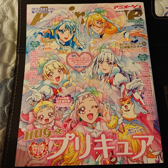 『HUGっと!プリキュア』特別増刊号 2019年 01月号 エンタメ/ホビーの雑誌(アート/エンタメ/ホビー)の商品写真