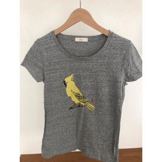 セポ(CEPO)のCepo Tシャツ(Tシャツ(半袖/袖なし))