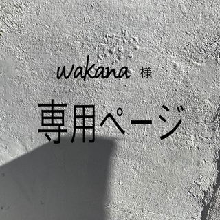 wakana様　専用ページ   NT-06  NT-04