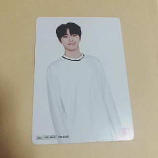 SEVENTEEN セブチ HMV フォトスペース トレカ ディノ(アイドルグッズ)