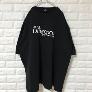 だだだ。様専用2枚セット古着 Tシャツ ビッグサイズ (Tシャツ/カットソー(半袖/袖なし))