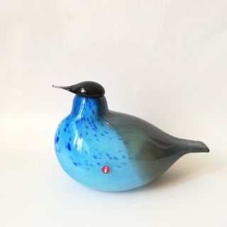 イッタラ(iittala)のイッタラバード　KUOHUKARA　オイバ·トイッカ(置物)