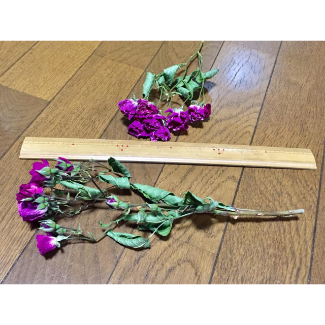 お花屋さんが作った薔薇のドライフラワー ハンドメイドのフラワー/ガーデン(ドライフラワー)の商品写真