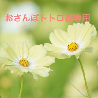 おさんぽトトロ様専用(カラージェル)