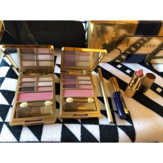 エスティローダー(Estee Lauder)の【新品未使用】エスティーローダー メイク フルセットクラッチ付き(コフレ/メイクアップセット)