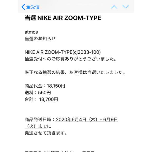 NIKE(ナイキ)のNIKE AIR ZOOM TYPE メンズの靴/シューズ(スニーカー)の商品写真