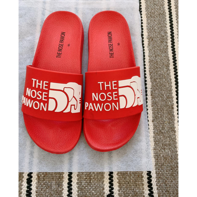 THE NORTH FACE(ザノースフェイス)のTHE NOSE PAWON サンダル　sizeM【S】 レディースの靴/シューズ(サンダル)の商品写真