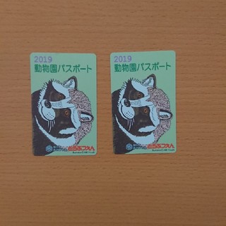 旭山動物園 年間パスポート入場券 ２枚セット(動物園)