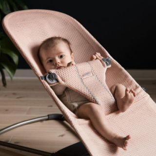 ベビービョルン(BABYBJORN)のベビービョルン♡バウンサー♡カバー＆洗い替え＆おまけ付(その他)