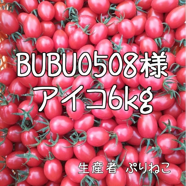 BUBU0508様専用 アイコ6kg ミニトマト 農家直送 食品/飲料/酒の食品(フルーツ)の商品写真