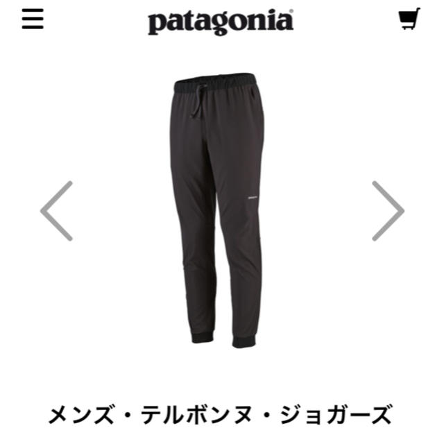 5月購入新作Patagonia パタゴニア試着のみジョガーズパンツ　Lサイズ
