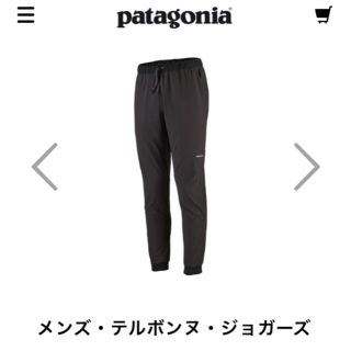 パタゴニア(patagonia)の5月購入新作Patagonia パタゴニア試着のみジョガーズパンツ　Lサイズ　(ワークパンツ/カーゴパンツ)