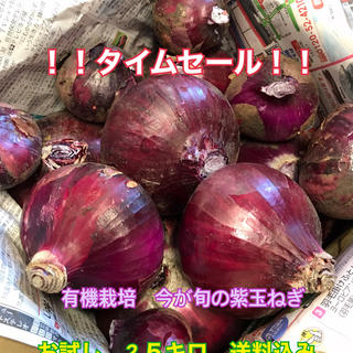 タイムセール！今が旬紫玉ねぎ　2.５キロ　送料込み(野菜)