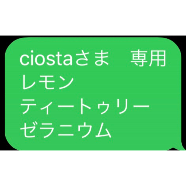 ciostaさま　専用 レモン ティートゥリー ゼラニウム