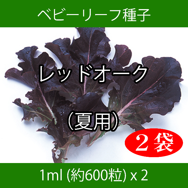 ベビーリーフ種子 B-03 レッドオーク（夏用） 1ml 約600粒 x 2袋 食品/飲料/酒の食品(野菜)の商品写真