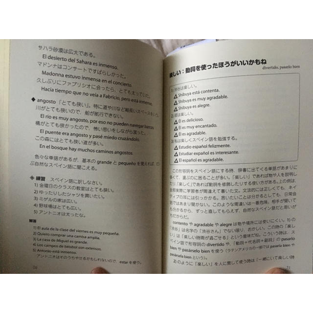 スペイン語の落とし穴 エンタメ/ホビーの本(語学/参考書)の商品写真