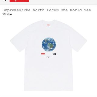 シュプリーム(Supreme)のSupreme The North Face ノース シュプリーム Tシャツ(Tシャツ/カットソー(半袖/袖なし))