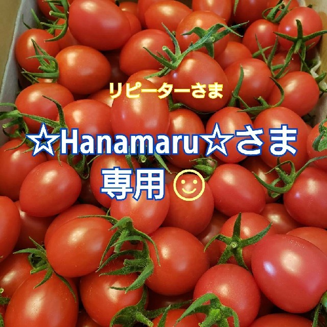 ４㎏ ～☆Hanamaru☆～さま専用です☺️ ミニトマト 食品/飲料/酒の食品(野菜)の商品写真