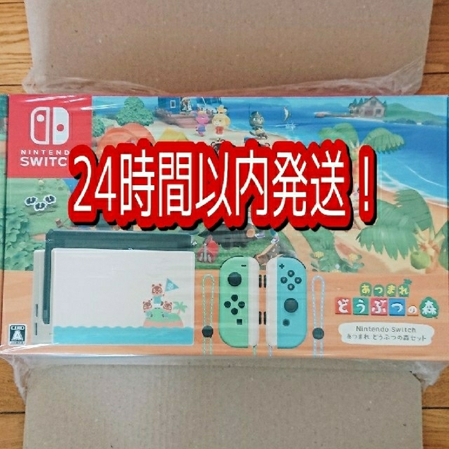 Nintendo Switch　あつまれどうぶつの森セット