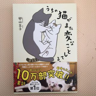 うちの猫がまた変なことしてる。(4コマ漫画)