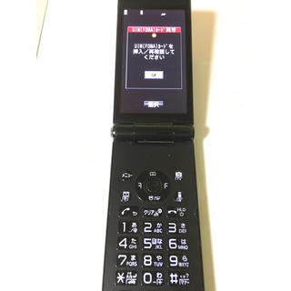 エヌティティドコモ(NTTdocomo)のdocomo P-01F ガラケー　　(45)(携帯電話本体)