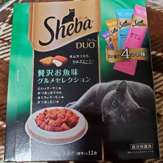 マース(MARS)の☆ハムちゃんMaMa様専用☆Sheba  DUO(シーバ　デュオ)(ペットフード)