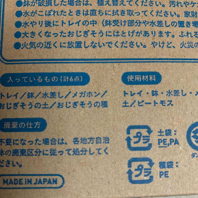 おじぎそう　おせわセット キッズ/ベビー/マタニティのおもちゃ(知育玩具)の商品写真