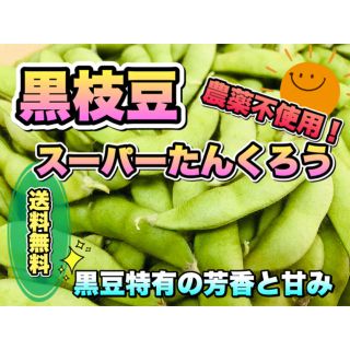 採れたて新鮮！　甘みがあって美味しい黒枝豆『スーパーたんくろう』  無農薬　枝豆(野菜)