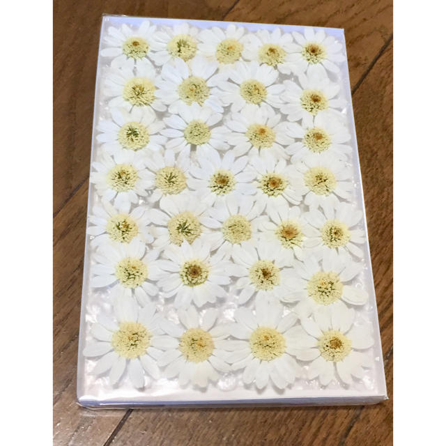 お花屋さんが作った純白マーガレットのドライフラワーお詰め合わせ ハンドメイドのフラワー/ガーデン(ドライフラワー)の商品写真